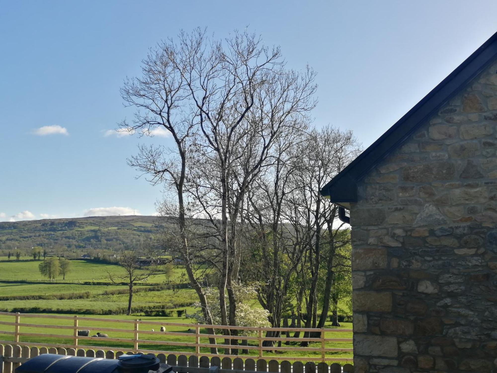 Knockninny Barn At Upper Lough Erne, County Fermanagh Enniskillen Ngoại thất bức ảnh