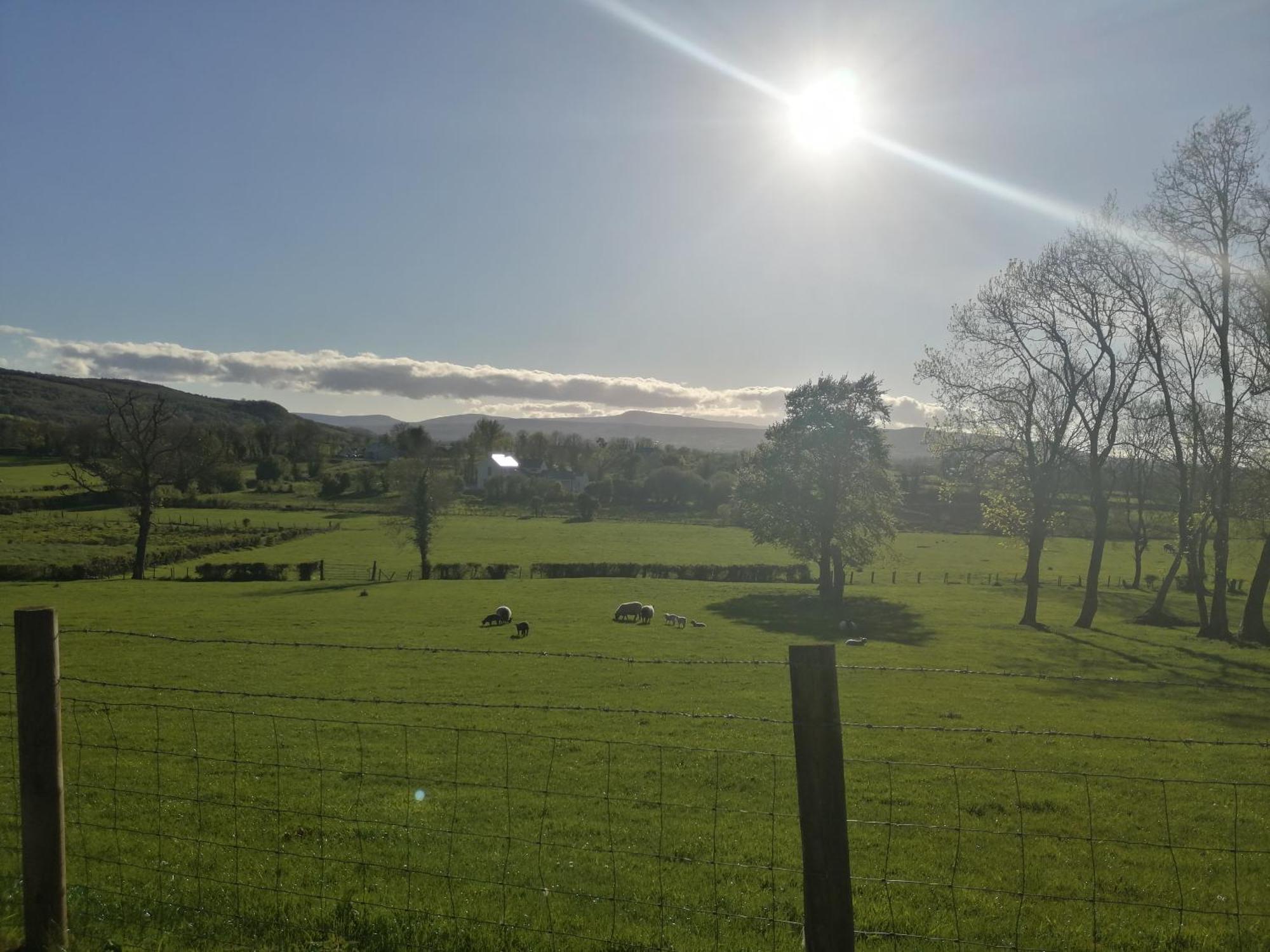 Knockninny Barn At Upper Lough Erne, County Fermanagh Enniskillen Ngoại thất bức ảnh