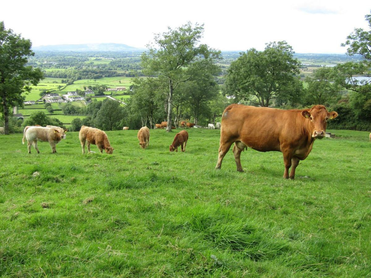 Knockninny Barn At Upper Lough Erne, County Fermanagh Enniskillen Ngoại thất bức ảnh